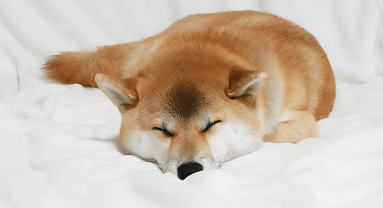 自宅にいるような安心できる環境です